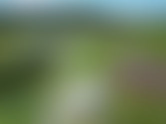 Managing Water Effectively in Regenerative Farming