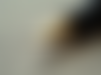 The Hallmarks of Premium Fountain Pens