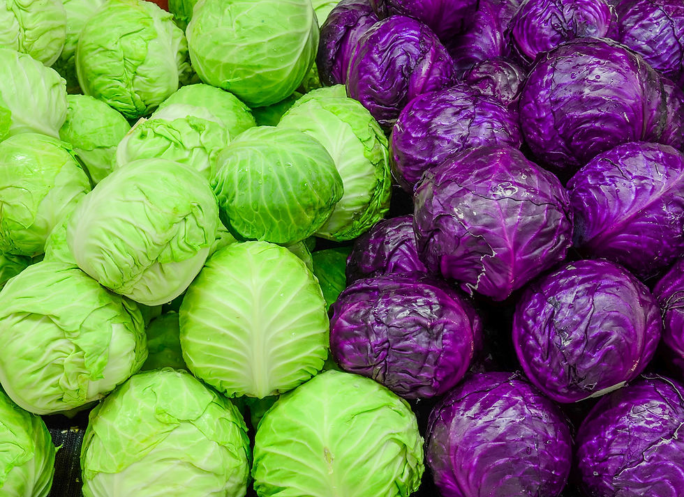 cabbage_edited.jpg