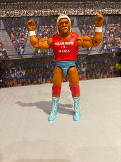 Hulk Hogan