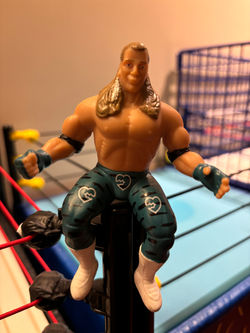 Shawn Michaels
