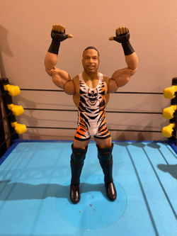 Rob Van Dam