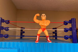 Ric Flair