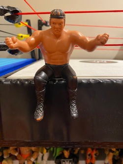 Ricky Steamboat