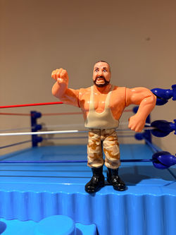 Bushwhacker Butch