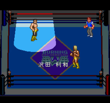 The Grappling Gamer: Gekitou Burning Pro Wrestling