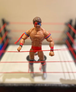 Ultimate Warrior