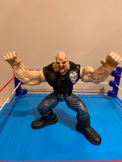 Stone Cold Steve Austin