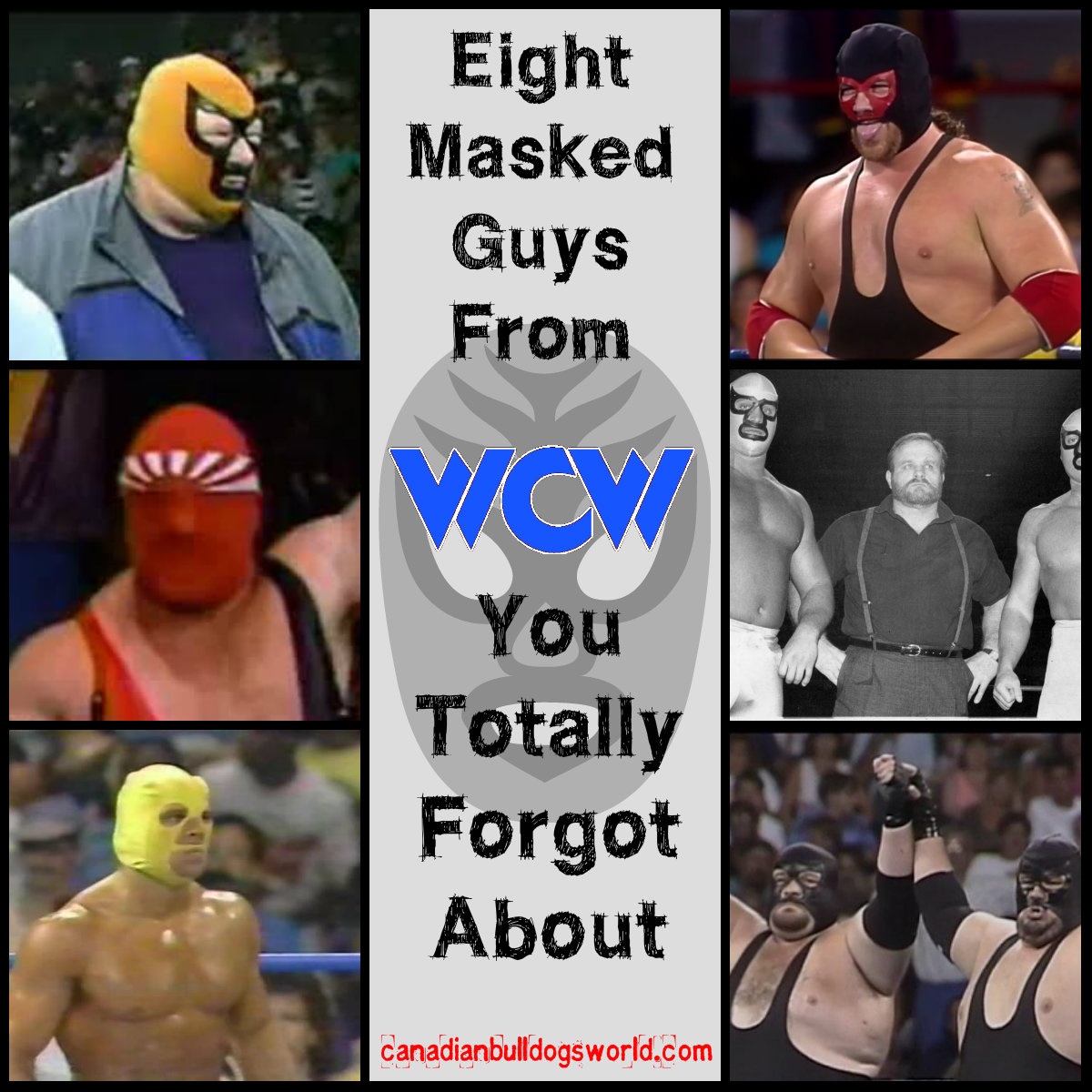 Eight Masked Guys From WCW You Totally F