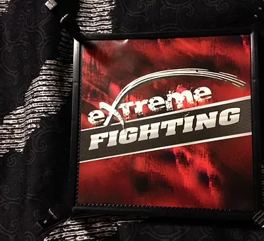 The World's Cheapest Toy Wrestling Ring!
