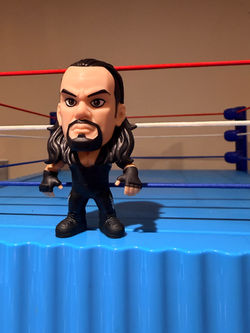 The Undertaker