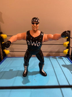 Hollywood Hulk Hogan