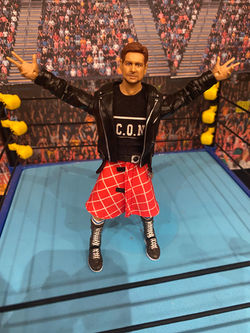 Rowdy Roddy Piper