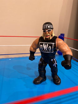 Hollywood Hulk Hogan