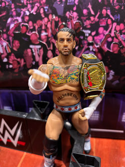 CM Punk