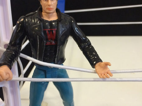 10 Obscure WCW ToyBiz Action Figures