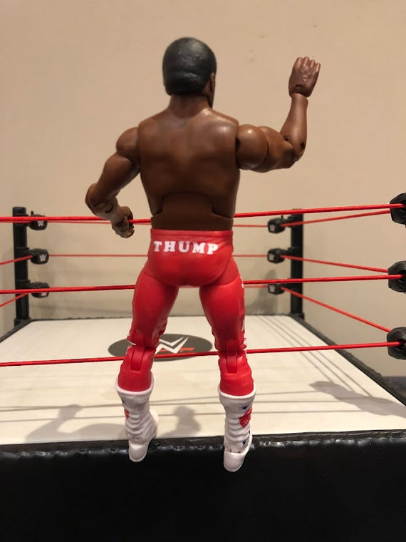 WWE Legends Series 12