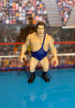 Andre The Giant