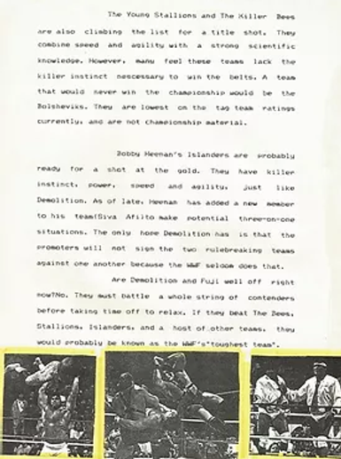 Wrestling Magazine