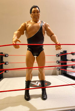 Andre The Giant