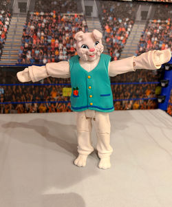 The Bunny