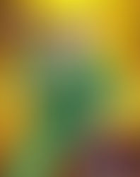 The Grappling Gamer: 80s Wrestling Mania Returns