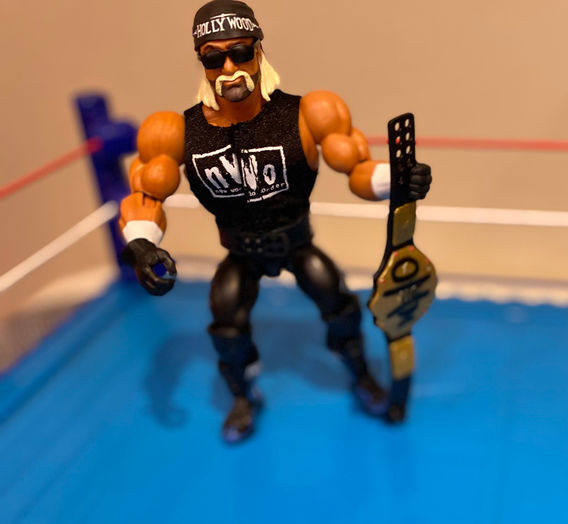 Hollywood Hulk Hogan