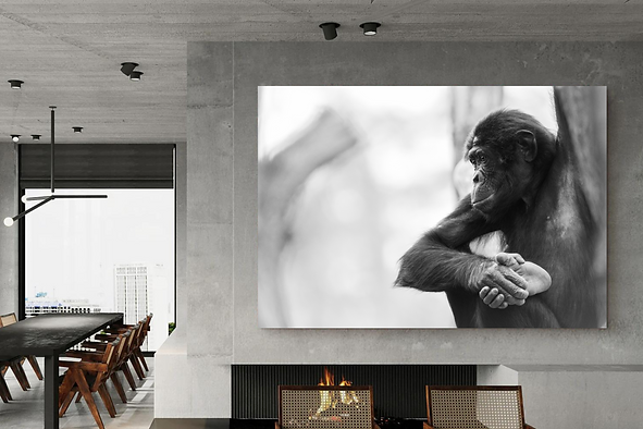 Ontwerp zonder titel (3).png