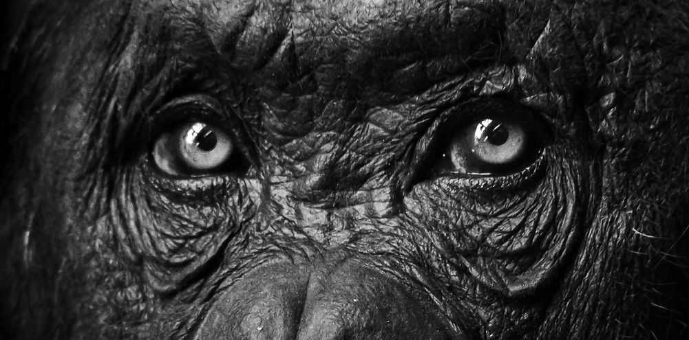 The mirror of the soul