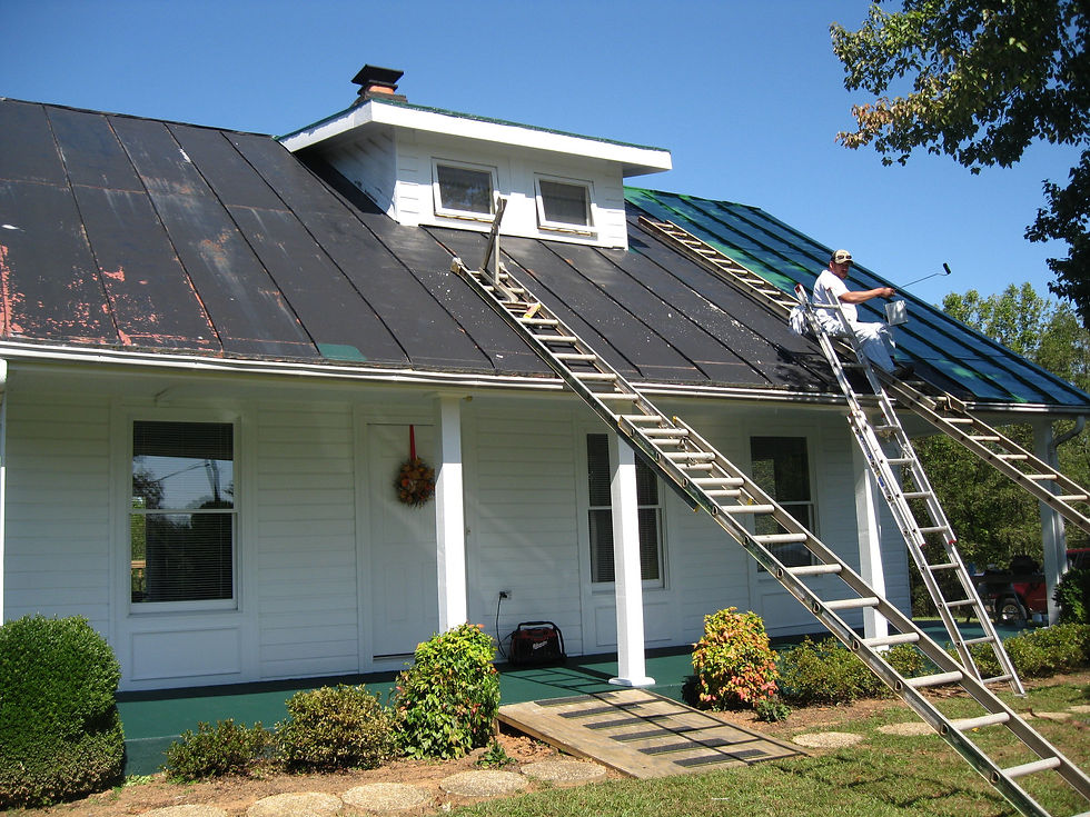 Exterior/Roof Painting