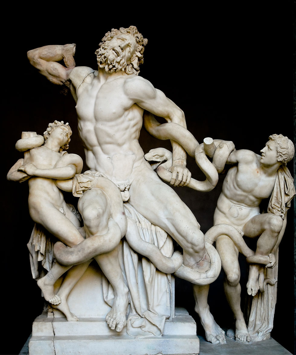 the Laocoön statue in the vatican, italy