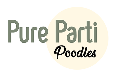 Logo 1080 px by 1080px.png