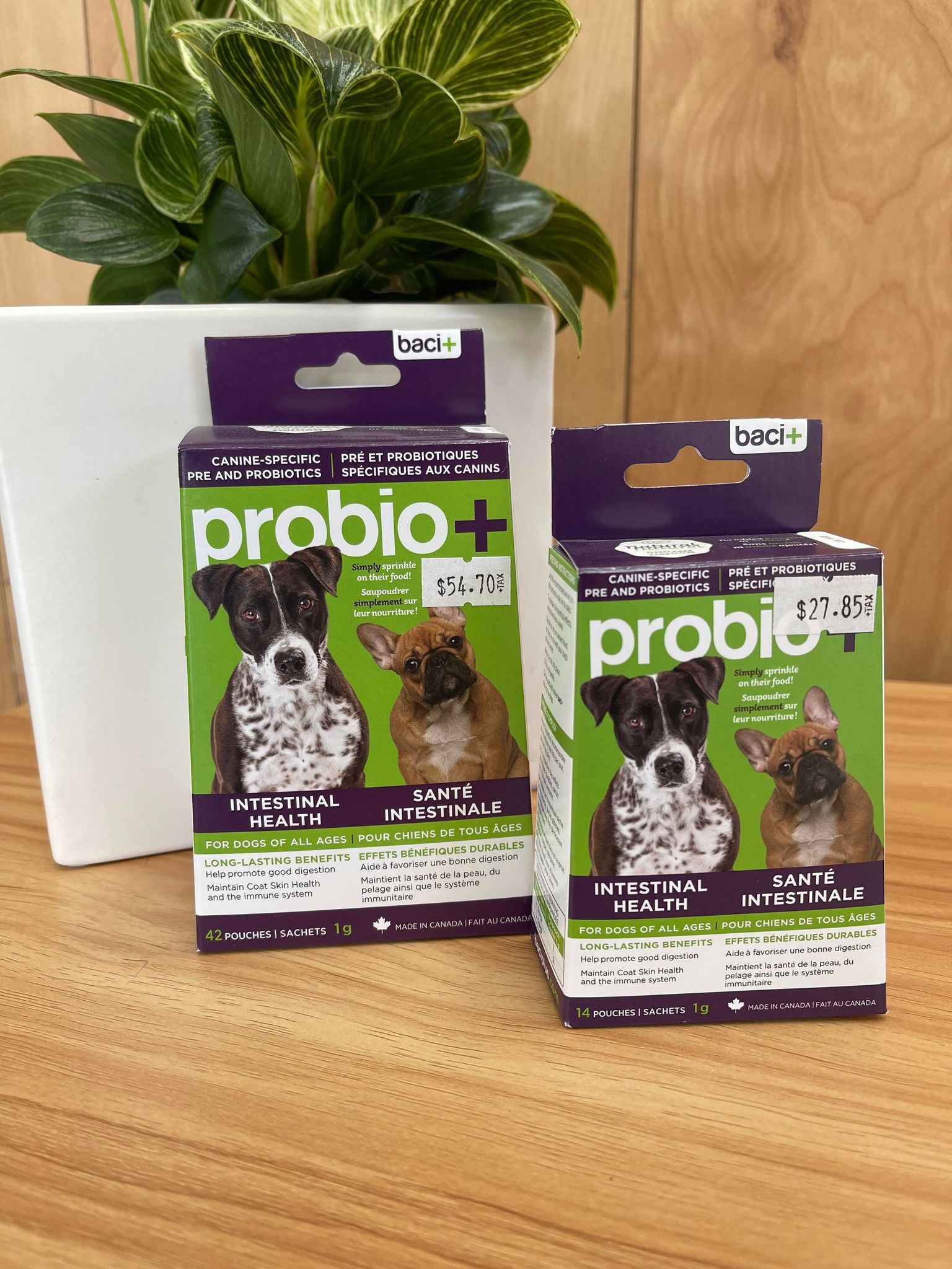 BACI + Probio + Chien