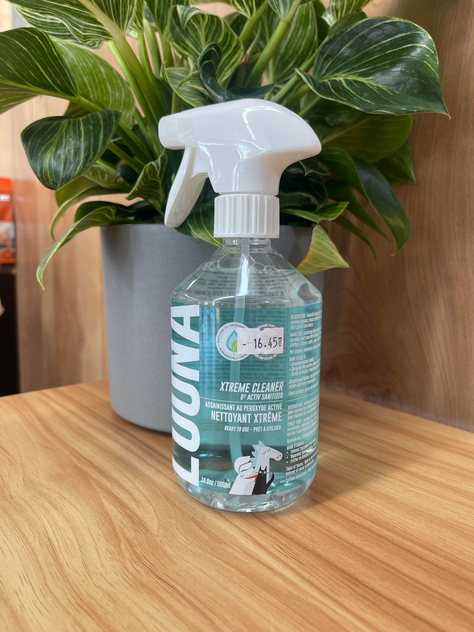 LOONA NETTOYANT ASSAINISSANT XTRÊME 500 ml (prêt à utiliser)