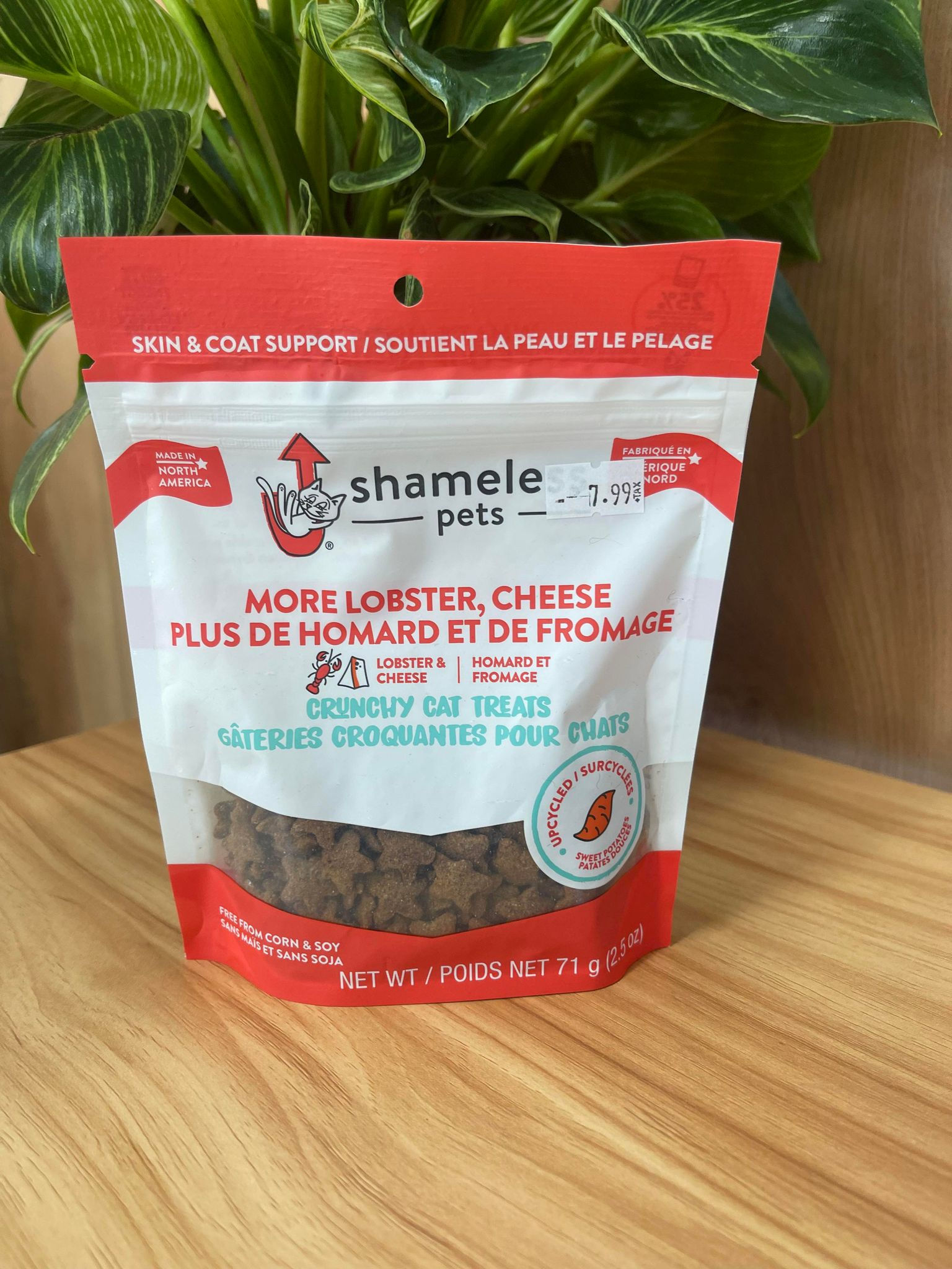 CHAT - Homard et fromage - Gâterie Shameless