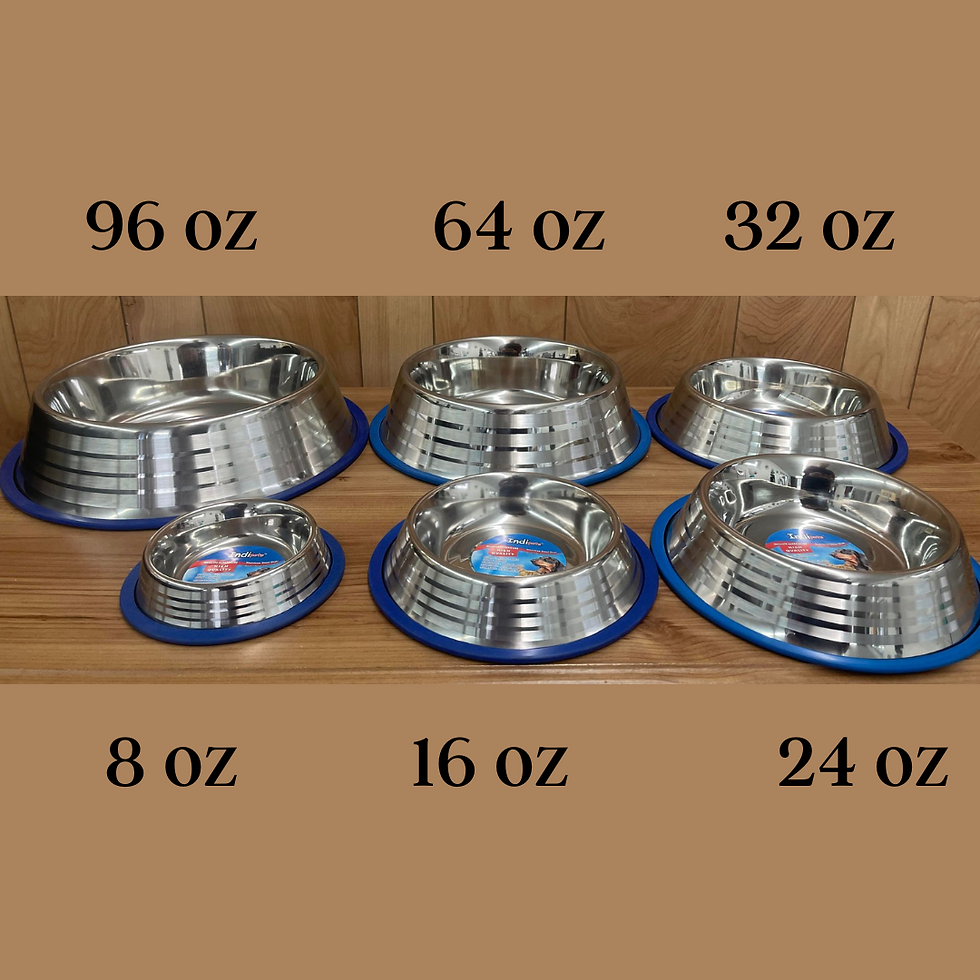 Miniature : Bol Indipets de 8oz à 96oz