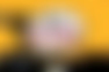 【軟餐俠漫畫】第六章：毛范夫婦