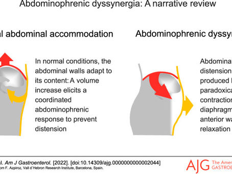 Wat is een opgeblazen gevoel, opgezette buik en Abdominophrenische Dyssynergie (ADP) en wat kun je eraan doen?