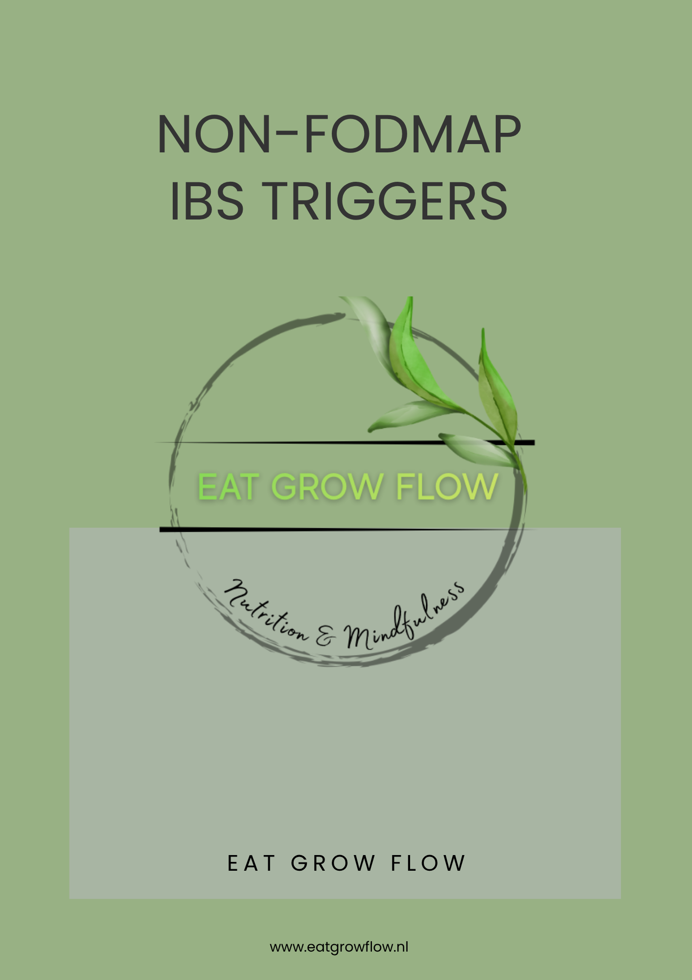 Non-FODMAP IBS-triggers - English