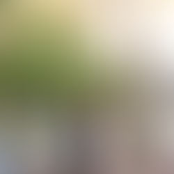 Explore the Best Locations for Downtown Gilbert Photoshoots with Couples and Families