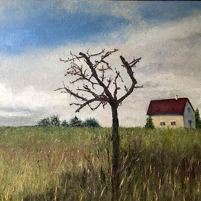 Cindy Bridgman