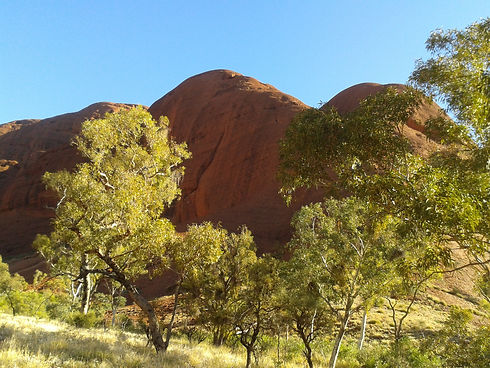 2013-07-30 16.04.49.jpg