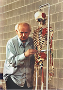 Feldenkrais showing movement on skeleton. Online slow, gentle classes. Feldenkrais neuro movements rewire brain to reduce relieve chronic pain, manage treat back pain, knee and hip joint replacement, better balance, pelvic floor and prevent falls, neurological disorders and improve movement, fibromyalgia, walking, hiking. ATM and private classes help swimming, dancing, musicians. Feldenkrais Toronto, Durham Region, Clarington. Reduce pain, improve movement, balance and mobility for fall prevention. Classes and workshops improve mobility, neck and shoulder pain relief with free class recordings. Manage, treat stroke symptoms, neurological movement disorders, depression, reduce anxiety and eating disorders. Somatic movement exercises retrain nervous system, enhancing a person’s self-body image. Reducing curves in the back caused by scoliosis, osteoporosis, arthritis, injury. Feldenkrais Method corrects bad posture. Treat whiplash, stiffness for pain free range of motion. Feel better.