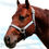 Miniaturbild: Halfter