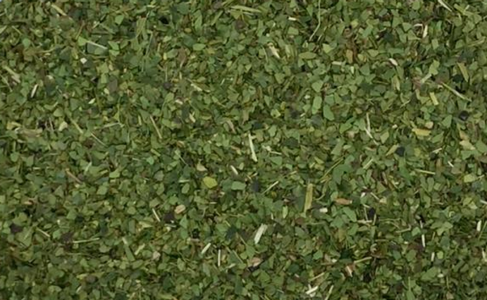 Erva verde1.png