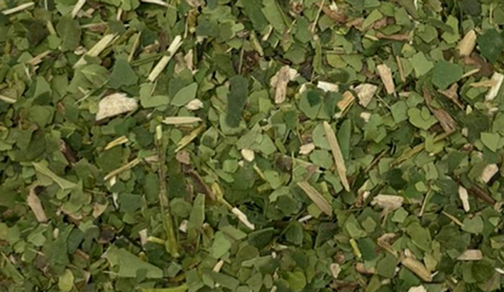 mate verde muido grosso 2.png