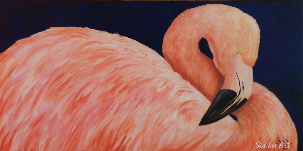 Flamingo