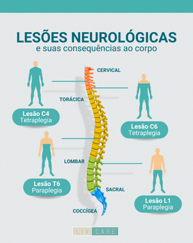 Lesões neurológicas e suas consequências ao corpo