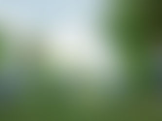 インクルーシブ教育を受ける子どもたち