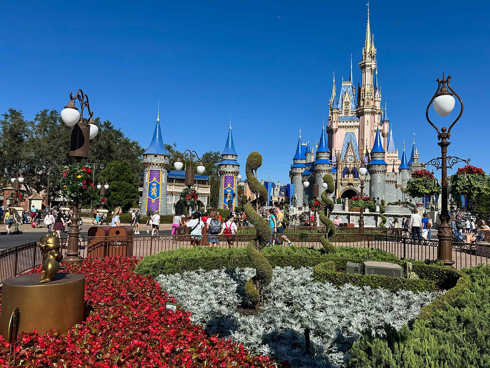 top-magic-kingdom-castle.jpg